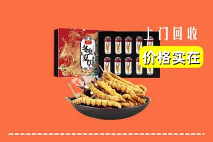 曲靖市马龙回收虫草